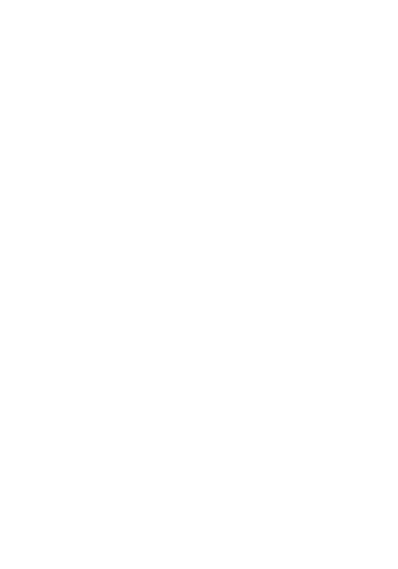 Das V.I.P. Party Package in Cancún